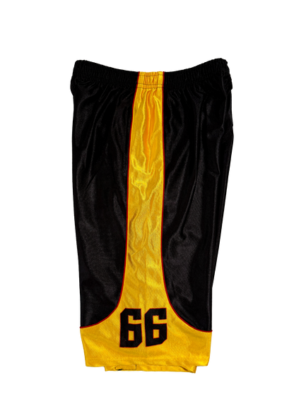 Germa 66